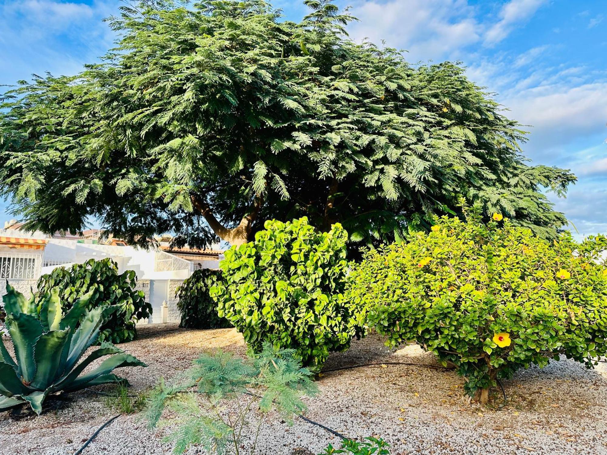 Casa Una Bungalow Delux Arona  Zewnętrze zdjęcie